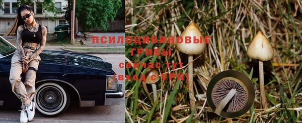 эйфоретик Алексин