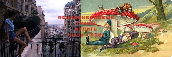 спайс Алексеевка