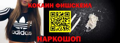 мдпв Камышлов