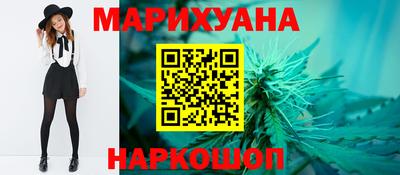 мдпв Камышлов