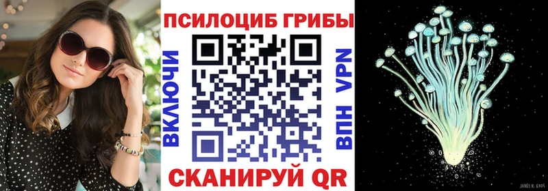 сколько стоит  omg рабочий сайт  Псилоцибиновые грибы GOLDEN TEACHER  площадка официальный сайт  Кызыл 