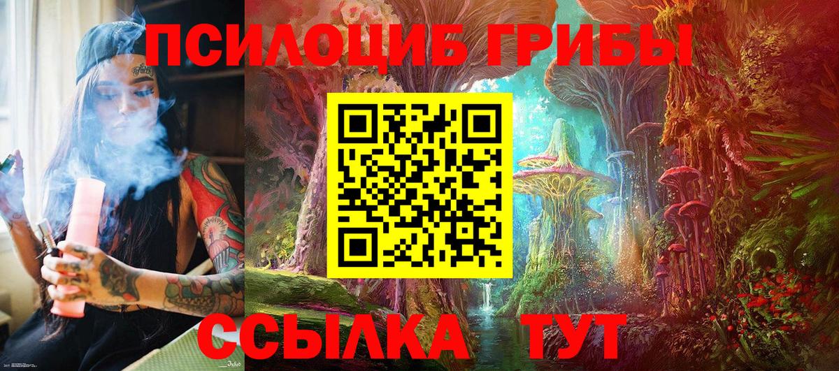 Псилоцибиновые грибы GOLDEN TEACHER Кызыл