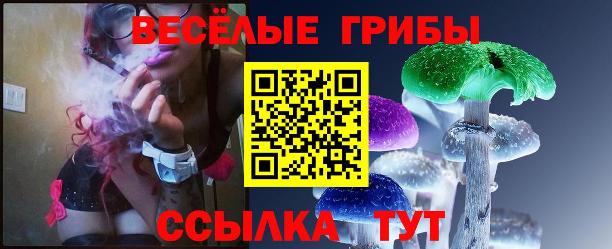Кызыл  Галлюциногенные грибы Psilocybe  Вход с VPN  Псилоцибиновые грибы GOLDEN TEACHER 